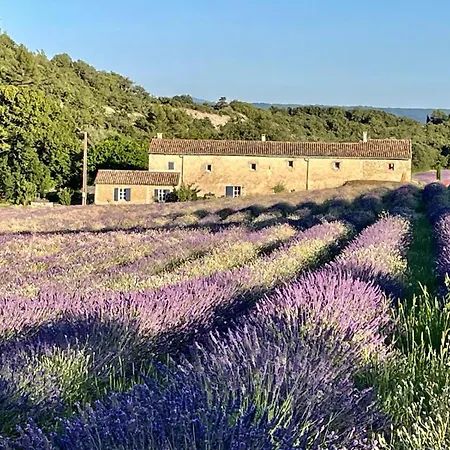 Casa de Férias Mas Du 18e Siecle Au Calme Entoure De Champs De Lavandes Pierrerue (Alpes-de-Haute-Provence)