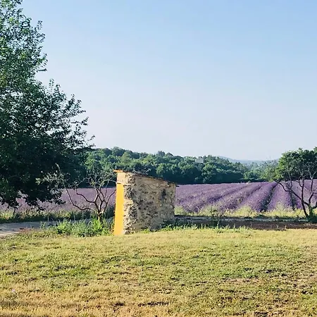 Mas Du 18e Siecle Au Calme Entoure De Champs De Lavandes Casa de Férias *