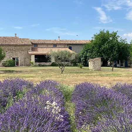 Mas Du 18e Siecle Au Calme Entoure De Champs De Lavandes