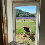 Mas Du 18e Siecle Au Calme Entoure De Champs De Lavandes Pierrerue (Alpes-de-Haute-Provence)