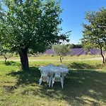 Vakantiehuis Mas Du 18e Siecle Au Calme Entoure De Champs De Lavandes Pierrerue (Alpes-de-Haute-Provence)