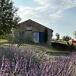Mas Du 18e Siecle Au Calme Entoure De Champs De Lavandes *