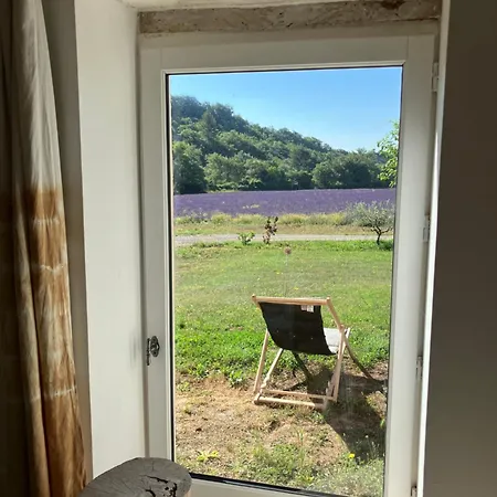 Mas Du 18e Siecle Au Calme Entoure De Champs De Lavandes Pierrerue (Alpes-de-Haute-Provence)