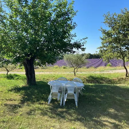 بيت للعطل Mas Du 18e Siecle Au Calme Entoure De Champs De Lavandes Pierrerue (Alpes-de-Haute-Provence)