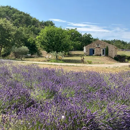 Mas Du 18e Siècle Au Calme Entouré De Champs De Lavandes Pierrerue (Alpes-de-Haute-Provence)