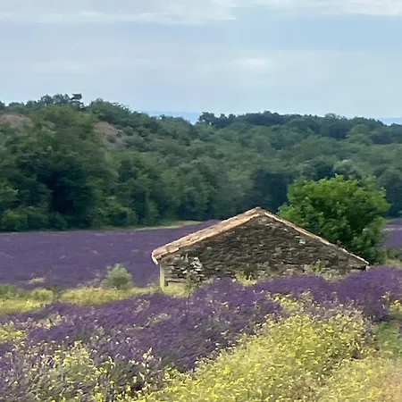 بيت للعطل Mas Du 18e Siecle Au Calme Entoure De Champs De Lavandes *