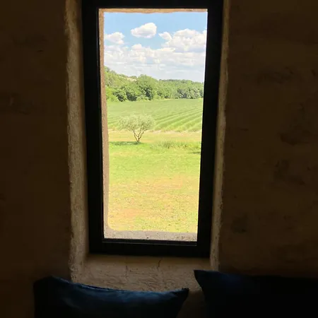 بيت للعطل Mas Du 18e Siecle Au Calme Entoure De Champs De Lavandes Pierrerue (Alpes-de-Haute-Provence)