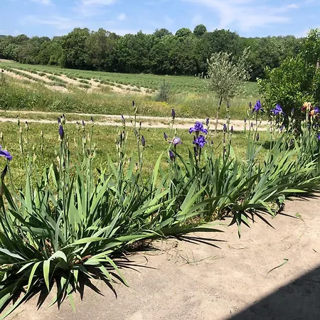 Prázdninový dům Mas Du 18e Siecle Au Calme Entoure De Champs De Lavandes *