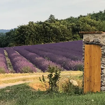 Mas Du 18e Siècle Au Calme Entouré De Champs De Lavandes * Pierrerue (Alpes-de-Haute-Provence)