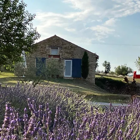 Mas Du 18e Siecle Au Calme Entoure De Champs De Lavandes *