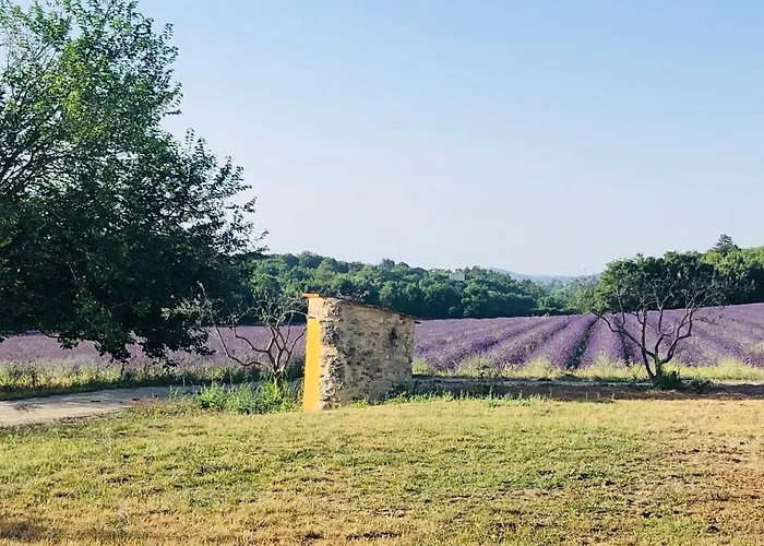Mas Du 18e Siècle Au Calme Entouré De Champs De Lavandes Hébergement de vacances *