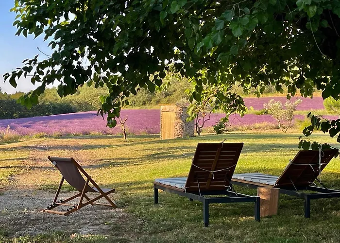 Hébergement de vacances Mas Du 18e Siècle Au Calme Entouré De Champs De Lavandes Pierrerue (Alpes-de-Haute-Provence)
