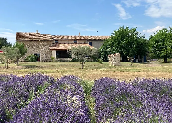 Mas Du 18e Siècle Au Calme Entouré De Champs De Lavandes